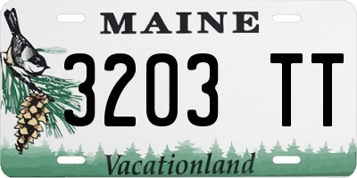 ME license plate 3203TT