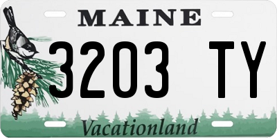 ME license plate 3203TY