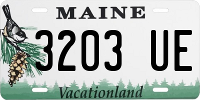 ME license plate 3203UE