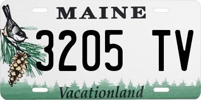 ME license plate 3205TV