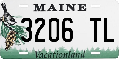 ME license plate 3206TL