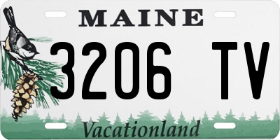 ME license plate 3206TV