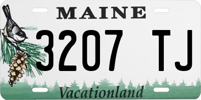ME license plate 3207TJ