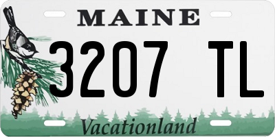 ME license plate 3207TL