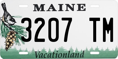 ME license plate 3207TM