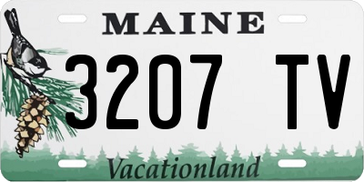 ME license plate 3207TV