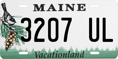 ME license plate 3207UL