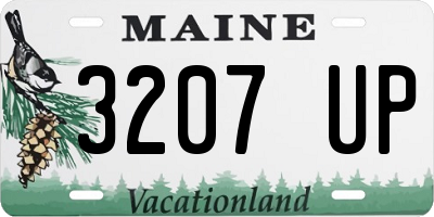 ME license plate 3207UP