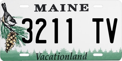 ME license plate 3211TV