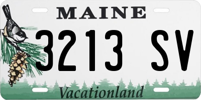ME license plate 3213SV