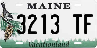 ME license plate 3213TF