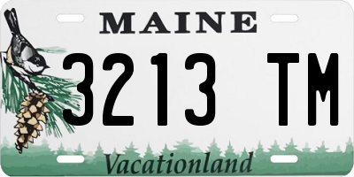 ME license plate 3213TM