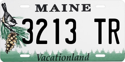 ME license plate 3213TR