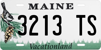 ME license plate 3213TS