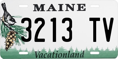 ME license plate 3213TV