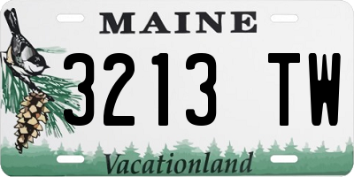 ME license plate 3213TW