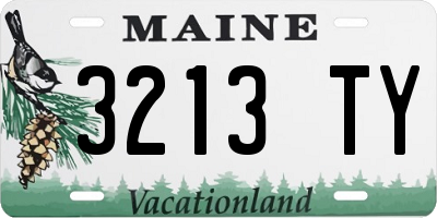 ME license plate 3213TY