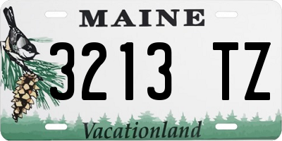 ME license plate 3213TZ