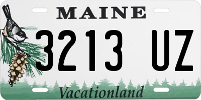 ME license plate 3213UZ