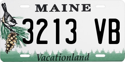 ME license plate 3213VB