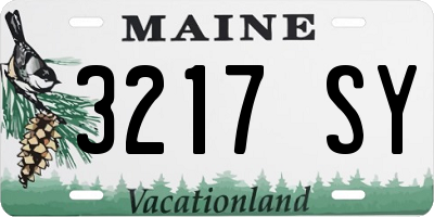 ME license plate 3217SY