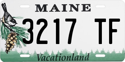 ME license plate 3217TF