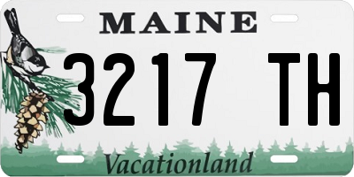 ME license plate 3217TH