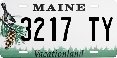 ME license plate 3217TY