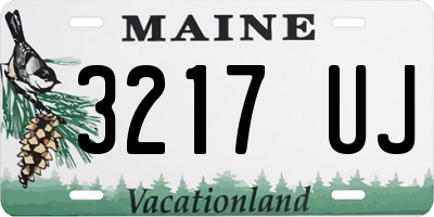 ME license plate 3217UJ