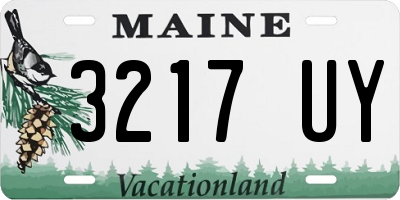 ME license plate 3217UY