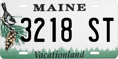 ME license plate 3218ST