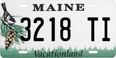 ME license plate 3218TI