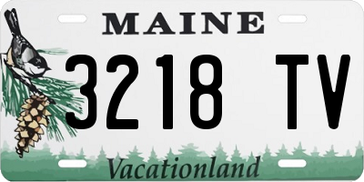 ME license plate 3218TV
