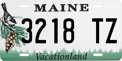 ME license plate 3218TZ