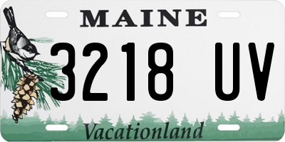 ME license plate 3218UV