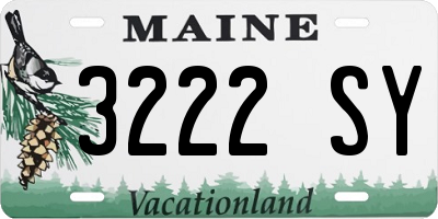 ME license plate 3222SY