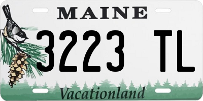 ME license plate 3223TL
