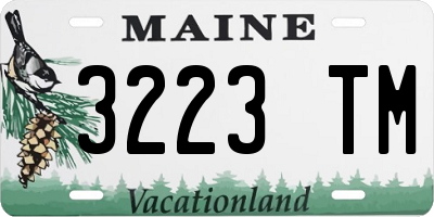 ME license plate 3223TM