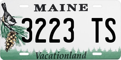 ME license plate 3223TS