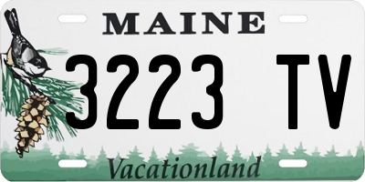 ME license plate 3223TV