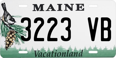ME license plate 3223VB