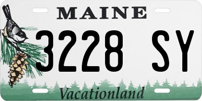 ME license plate 3228SY