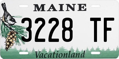 ME license plate 3228TF