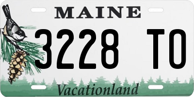 ME license plate 3228TO