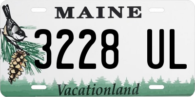 ME license plate 3228UL