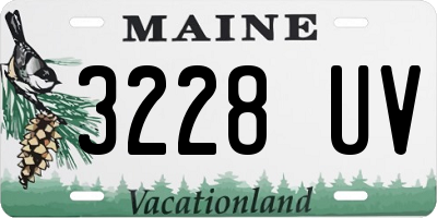 ME license plate 3228UV