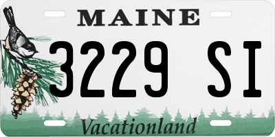 ME license plate 3229SI
