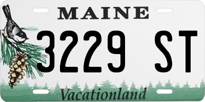 ME license plate 3229ST