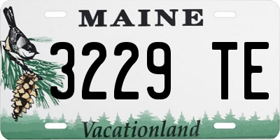 ME license plate 3229TE