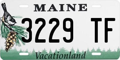 ME license plate 3229TF